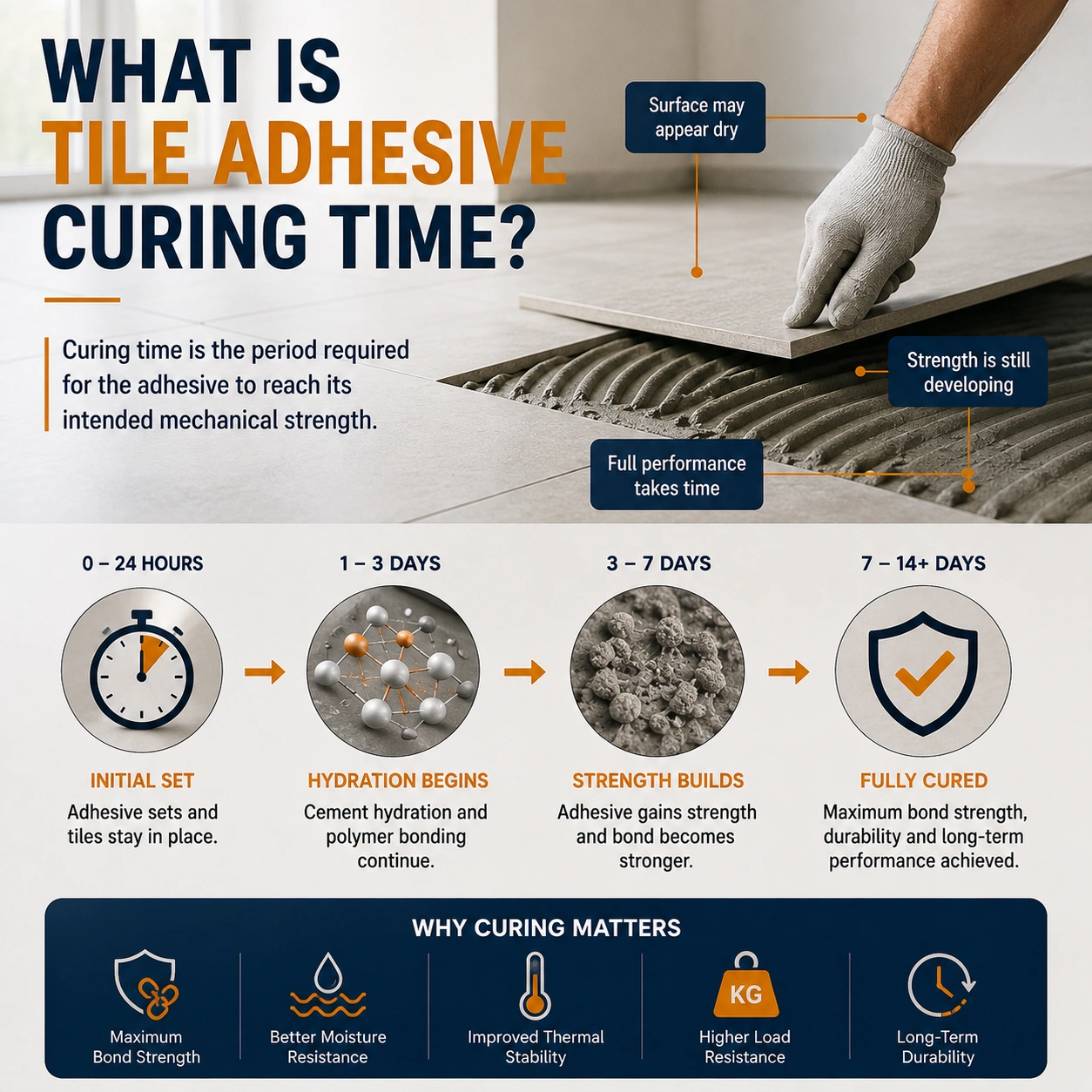What Is Tile Adhesive Drying Time